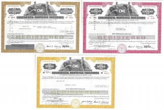 Continental Mortgage Investors (CMI)