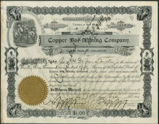 Cooper Bar Mining Company, New Mexico, 1900