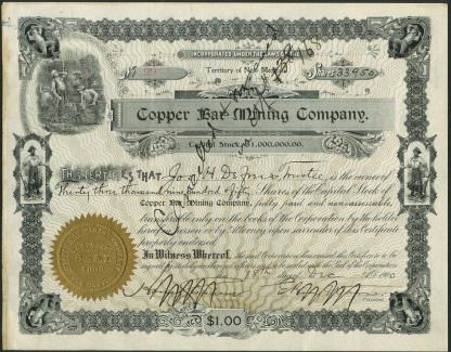 Cooper Bar Mining Company, New Mexico, 1900