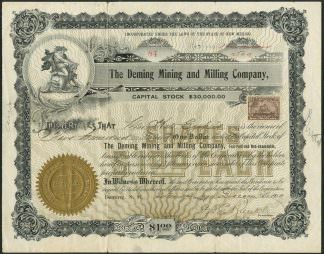 The Deming Mining and Milling Company, New Mexico, 1900