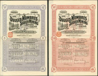 The Dulces Nombres Silver Mining Company Limited, 1907