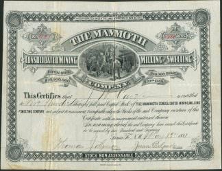 The Mammoth Consolidated Mining, Milling & Smelting Company, New Mexico, 1881