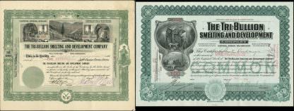 The Tri-Bullion Smelting and Development Company, New Mexico