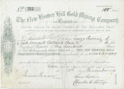 The New Hoover Hill Gold Mining Company, 1884