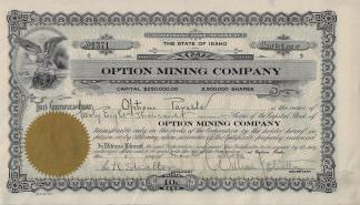 Option Mining Company, 1920er Jahre